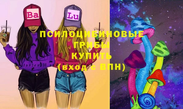 шишки Вяземский