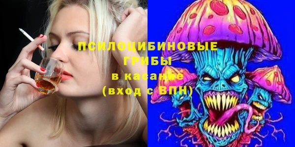 шишки Вяземский