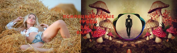 шишки Вяземский