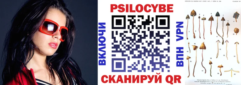 Псилоцибиновые грибы прущие грибы  Гусь-Хрустальный 