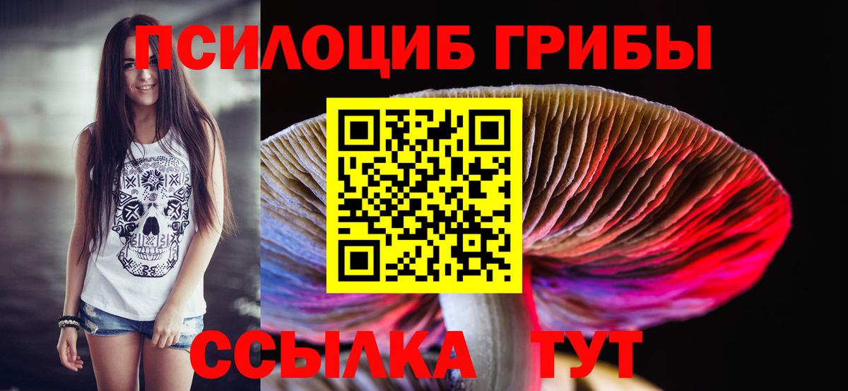 что такое наркотик  Гусь-Хрустальный  Псилоцибиновые грибы прущие грибы 